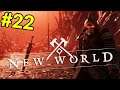 New World [Closed Beta] #22 Totaler Fail beim labern