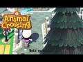 Construyendo caminos | Isla Medieval - #4 - Animal Crossing New Horizons 🌿