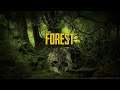 [Deutsch] Nummer 3, The Forest!