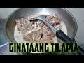 How to cook ginataang tilapia