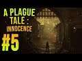 LA LEGGENDA DEL CASTELLO ABBANDONATO! | A Plague Tale: Innocence E5 Gameplay ITA