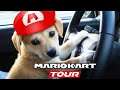 Mon meilleur combo sur Mario Kart Tour !