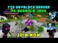 My New Skyblock Server For Minecraft PE / BEDROCK & Java Join Now, We Have Minions, Custom Items etc