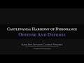 Castlevania: Harmony of Dissonance: Offense and Defense Arrangement
