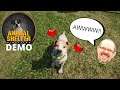 Let's Play... Animal Shelter Simulator PC Demo And Look After A Cute Puppy!!