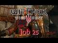 Let's Play The Witcher 3: Job 25