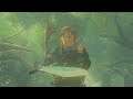 Let's Survive - Zelda : Breath of the Wild - Part 5 : To my temporary power, I say..."Arrivederci!"