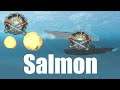 Salmon -  the US "fleet submarine" concept