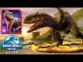 FIGHTING A FULLY MAXED INDOMINUS REX (JURASSIC WORLD ALIVE)