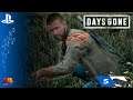 Days Gone | Parte 5 | Walkthrough gameplay Español - PS4