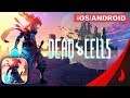DEAD CELLS - Android / iOS Gameplay - Mobile Game