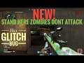 Glitch Spot Zombies Ignore You - CoDZombies
