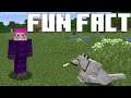 Random Minecraft Fun Fact