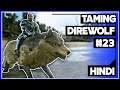 Taming Direwolf 🐺 , Part 23 : Ark survival evolved mobile , Hindi || StyLEX