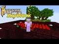 145 Level = zu viel :c! Soulsand + Nether Insel! - Minecraft Hypixel Skyblock #21