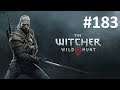 Let's Play The Witcher #183 - Die Stadt Oxenfurt [HD][Ryo]