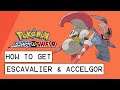 Pokemon Sword & Shield How To Get Escavalier & Accelgor (How To Evolve Karrablast & Shelmet)