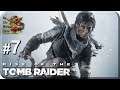 Rise of the Tomb Raider[#7] - Долина Греха  (Прохождение на русском(Без комментариев))