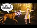 SUNT UN CAINE PERICULOS SI AM ATACAT UN COPIL DE UN AN *Am Vrut Sa Il Mananc*