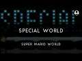 Super Mario World: Special World Arrangement