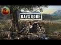 Days Gone | The Good Old Days