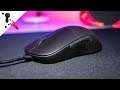 Endgame Gear XM1 Mouse Review + the importance of button height
