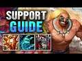 How To Play BRAUM SUPPORT | League of Legends Season 11 Guide
