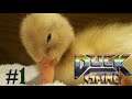 PURE CHAOS - Duck Game PART 1