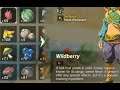 Wildberry | Farming Location | Zelda BOTW