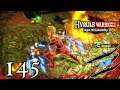 👑 #145 - Doppelklingenprobe Ω Let's Play Hyrule Warriors: Zeit der Verheerung DLC 1
