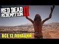 Новый Омега в Red Dead Redemption 2? Все 12 локаций поклонника солнца в RDR 2