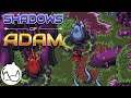 The Thorns of the Tangle | Part 1 | Shadows of Adam