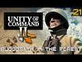Unity of Command II – The Battle of Hurtgen Forest - Part 21