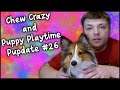 Cute Puppy Likes To Play and Chew - Pupdate #26 - MumblesVideos