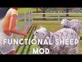 FUNCTIONAL SHEEP MOD REVIEW(SO CUTE! 🐑)//THE SIMS 3