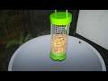 How to catch mouse with bird feeder