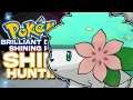 LIVE SHINY SHAYMIN HUNTING! Pokemon Brilliant Diamond & Shining Pearl Shiny Hunting!