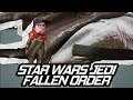 Star Wars Jedi - Fallen Order: The Shyyyo Bird