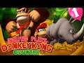 Drew Plays - Donkey Kong Country - Stream 1