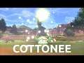 Pokemon Review #262/400 - Cottonee
