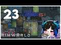 Qynoa plays RimWorld #23