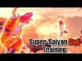Super Saiyan God Training With SSG Goku! - Dragon Ball Xenoverse 2