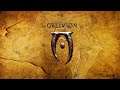 The Elder Scrolls IV: Oblivion. Вроде бы Гильдия бойцов