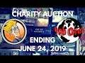 BGG and Rob's Mystery Box Silent Auction For Charity