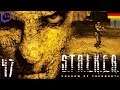 Let's Play STALKER: Shadow of Chernobyl [DE] 47 C-Consciousness (Stream 12) (Ende)