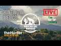 theHunter: Call of the Wild - Rancho del Arroyo - Hunting in Mexico - TGS Live Stream - XXVII - 27!
