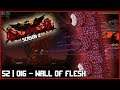 Wall of Flesh | Terraria Calamity Mod S2 German | MaikZee | 016