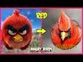 Angry Birds 2 and 1 IN REAL LIFE 💥 All Characters 👉@WANAPlus