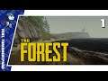 CRASHING DOWN - the Forest #1 - feat. Turianshepard