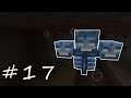 Defeating The WITHER - Minecraft 1.16 Let's play #17